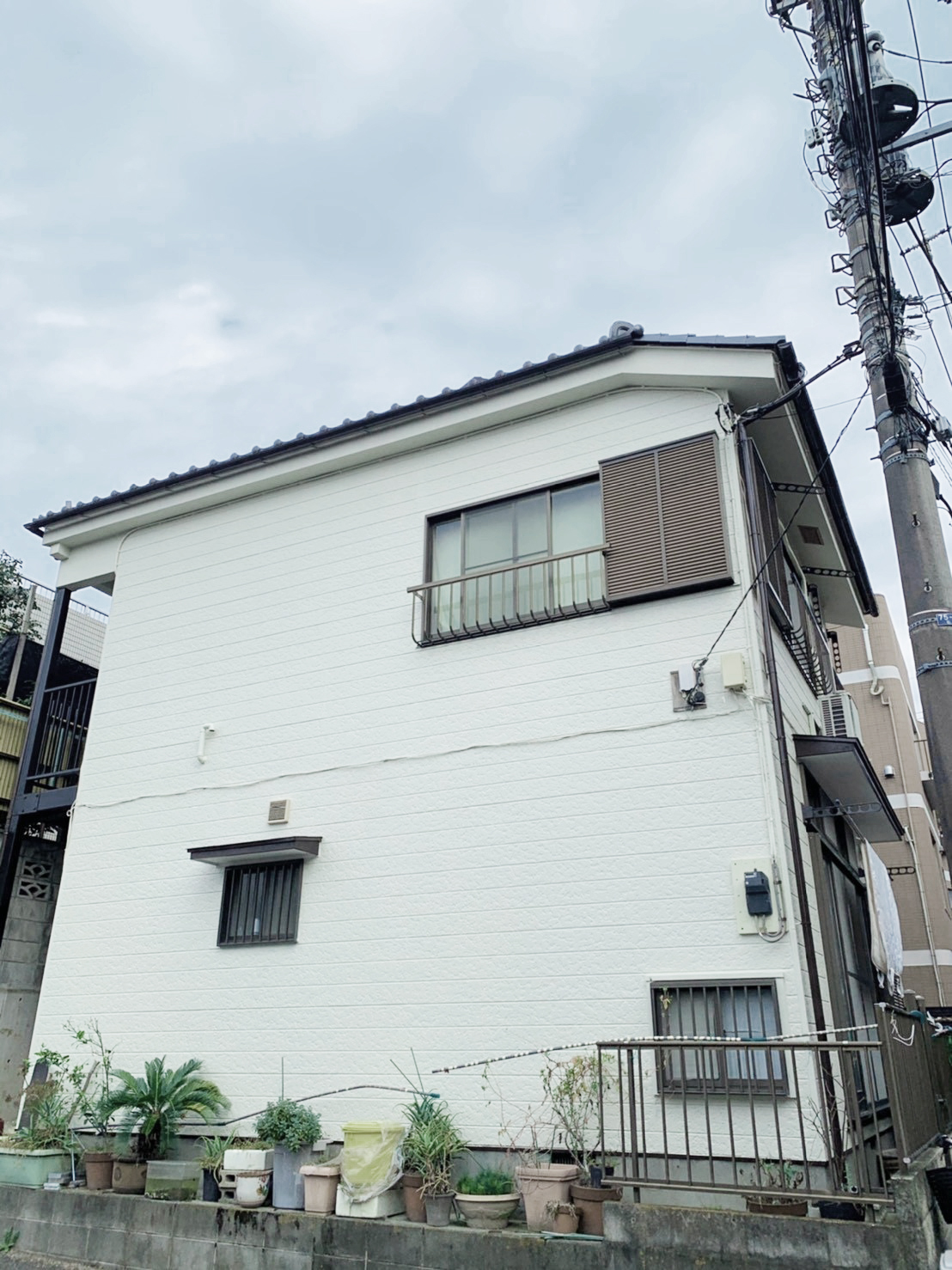 cificap(シフィキャップ)